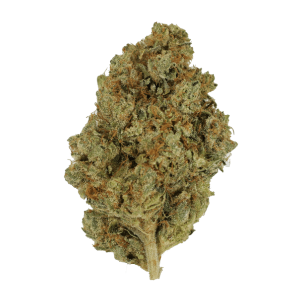 Nepalese | Herb Heaven Canada