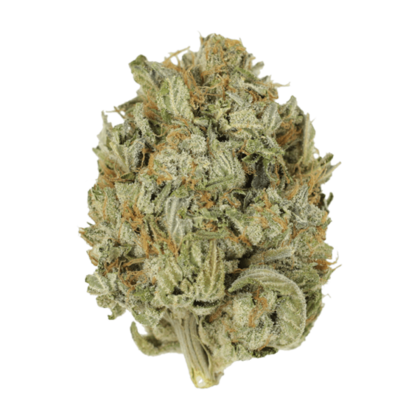 Blue Dream (Popcorn) | Herb Heaven Canada