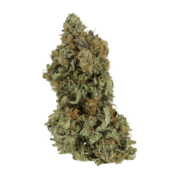 Bruce Banner #3 | Herb Heaven Canada