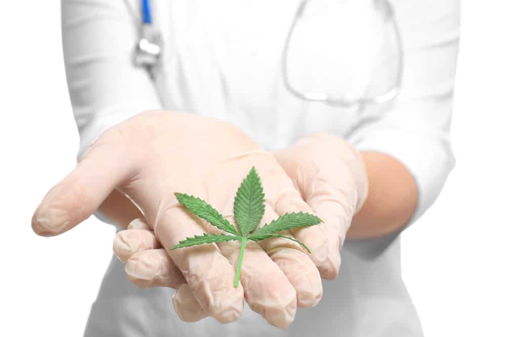 Cannabis as a natural cure for pain | Herb Heaven Canada