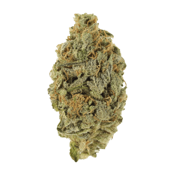 Lavender | Herb Heaven Canada