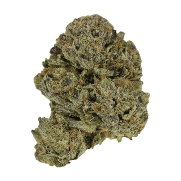 Lavender | Herb Heaven Canada