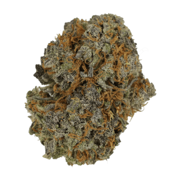Jack Herer 1 Ounce | Herb Heaven Canada