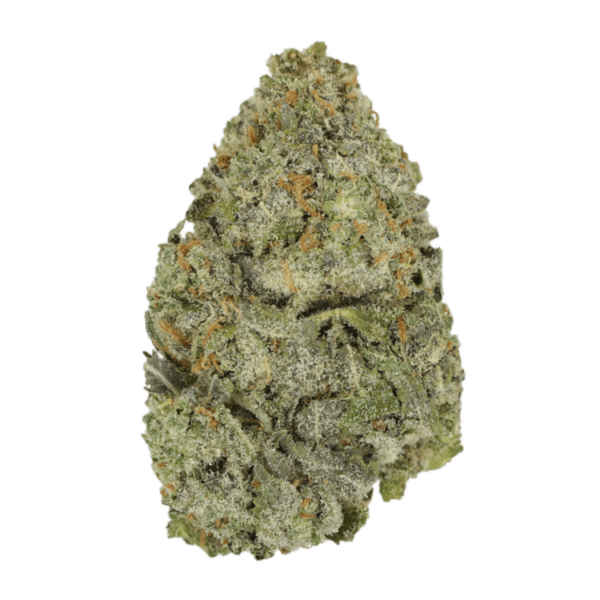 Lemon Meringu- | Herb Heaven Canada