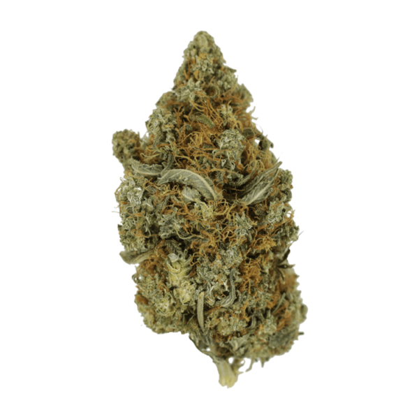 Jack Herer 1 Ounce | Herb Heaven Canada