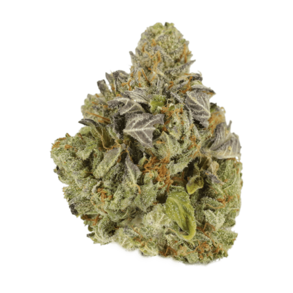 Jet Fuel | Herb Heaven Canada