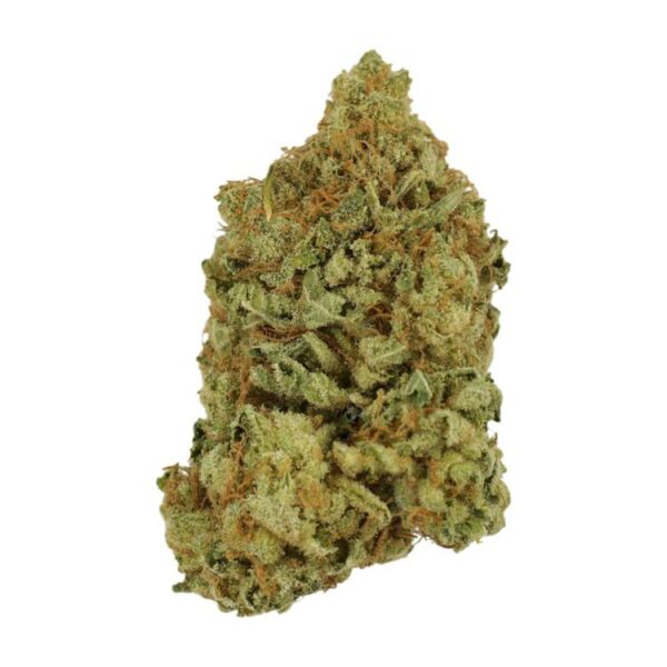 Blueberry | Herb Heaven Canada