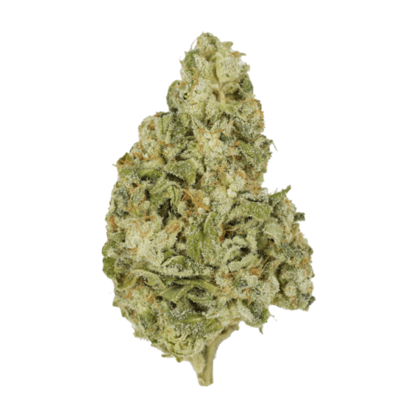 Zombie OG | Herb Heaven Canada