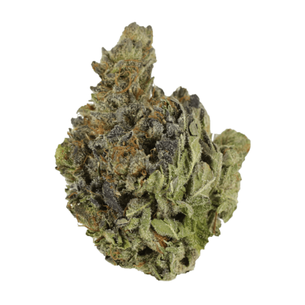 Chocolope | Herb Heaven Canada
