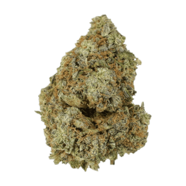 Granddaddy Purple | Herb Heaven Canada