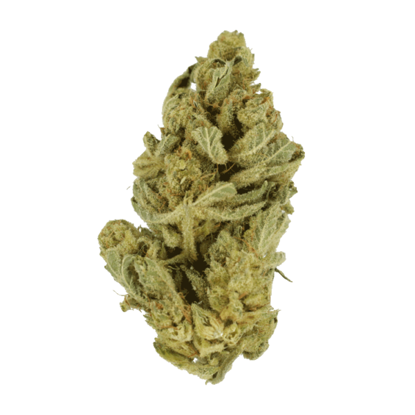 Hindu Kush – 7g | Herb Heaven Canada