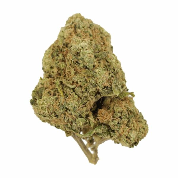 Tangerine Dream | Herb Heaven Canada