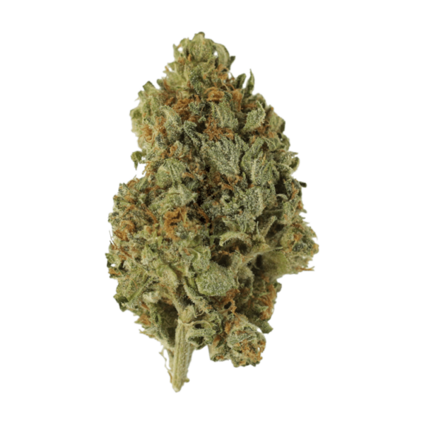 Sugar Cookies | Herb Heaven Canada