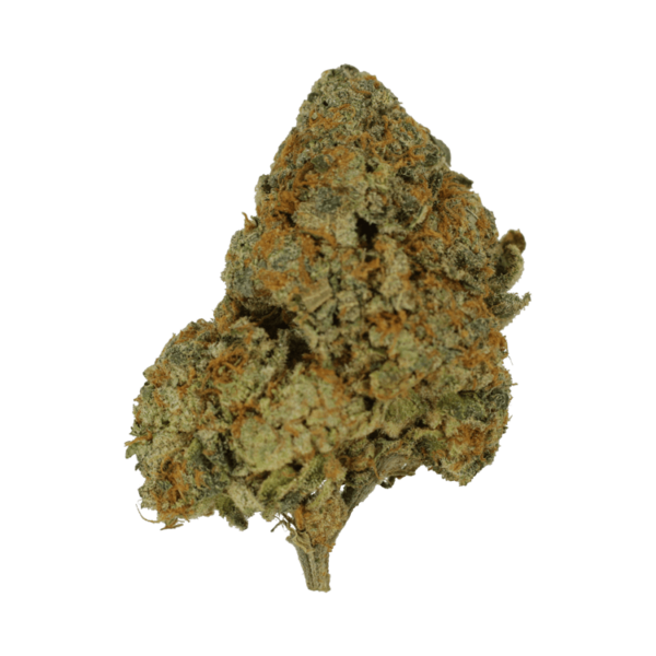 9lb Hammer | Herb Heaven Canada