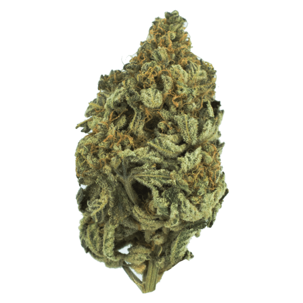 Bakerstreet | Herb Heaven Canada