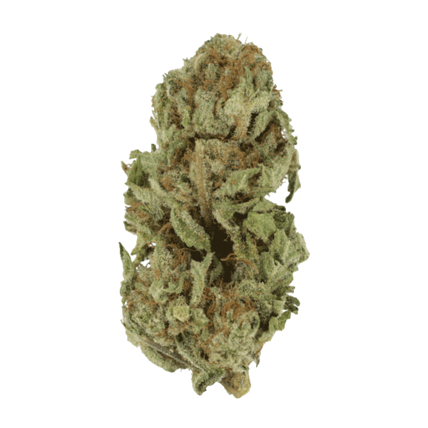 Golden Goat | Herb Heaven Canada