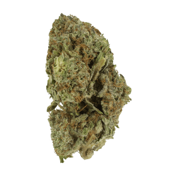 Gelato Sorbet – 1 ounce | Herb Heaven Canada