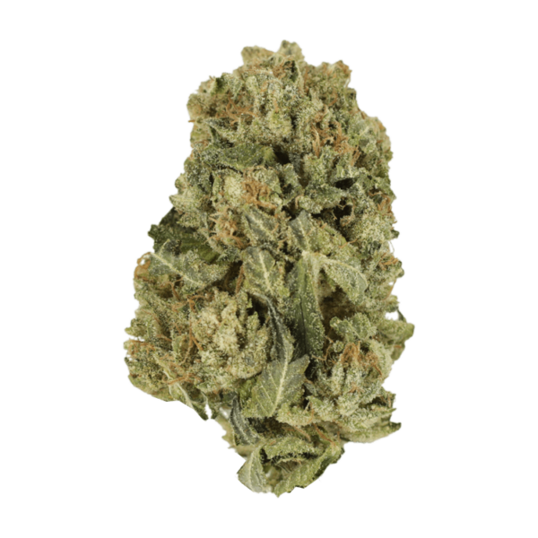 Black Domina | Herb Heaven Canada