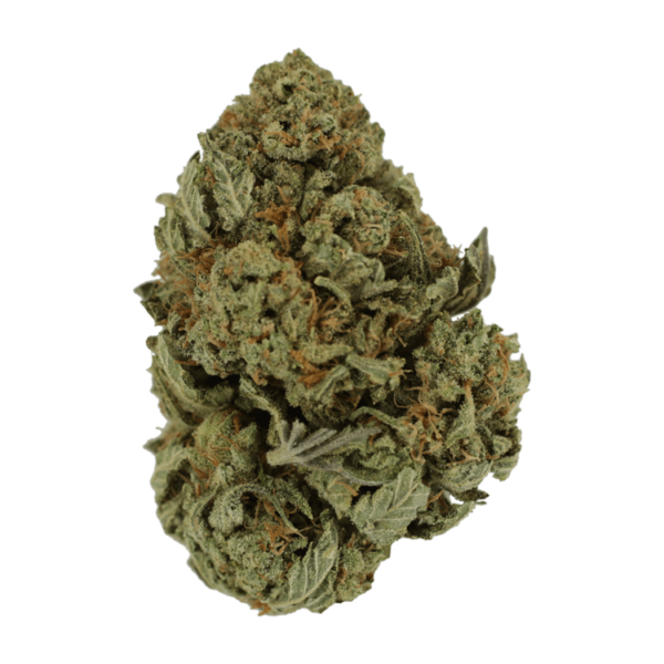 Master Kush Ultra | Herb Heaven Canada