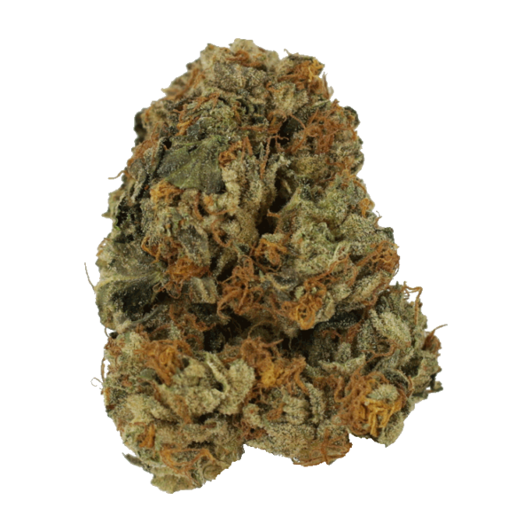 Dolato – 1OZ | Herb Heaven Canada