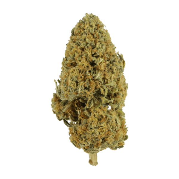 Grapefruit – 1 ounce | Herb Heaven Canada