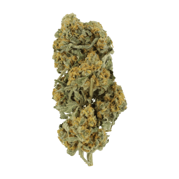 Miracle Alien Cookies | Herb Heaven Canada