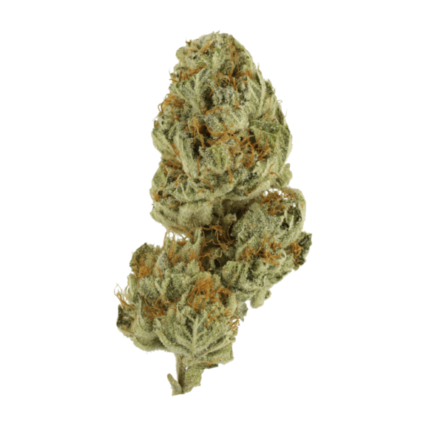 Strawberry Glue | Herb Heaven Canada