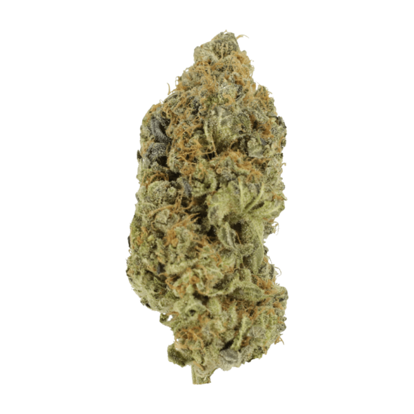 Critical Widow | Herb Heaven Canada