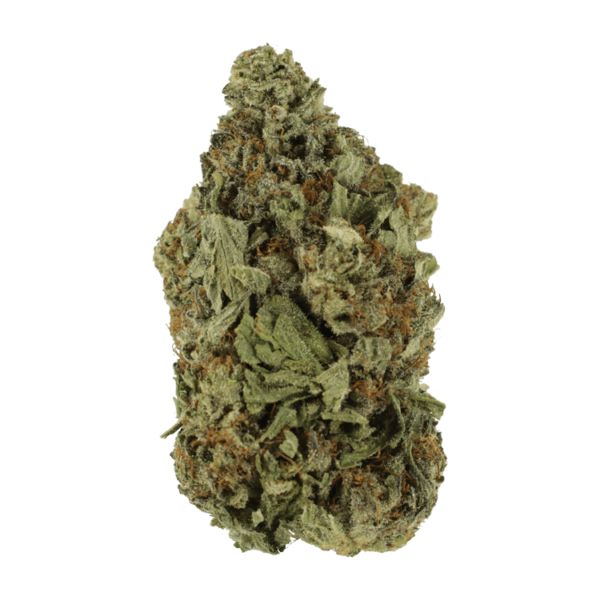 Shishkaberry | Herb Heaven Canada