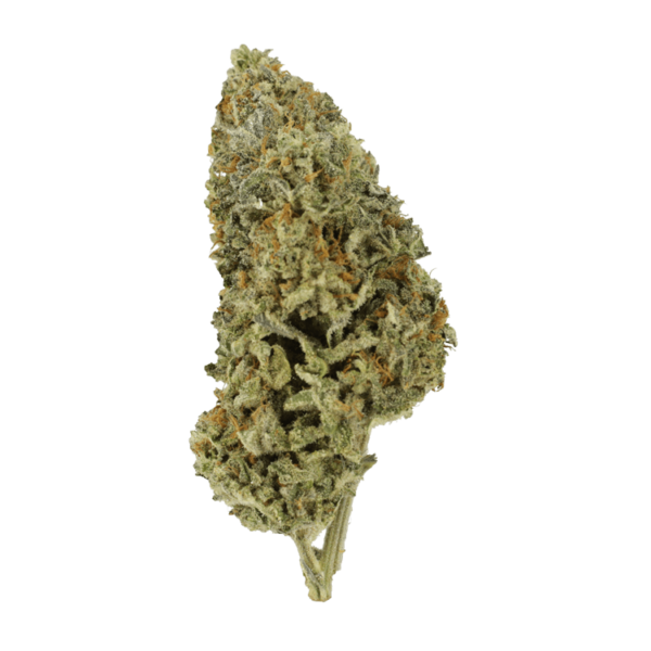 Super Silver Sour Diesel | Herb Heaven Canada