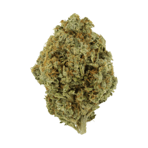 Orange Barb | Herb Heaven Canada