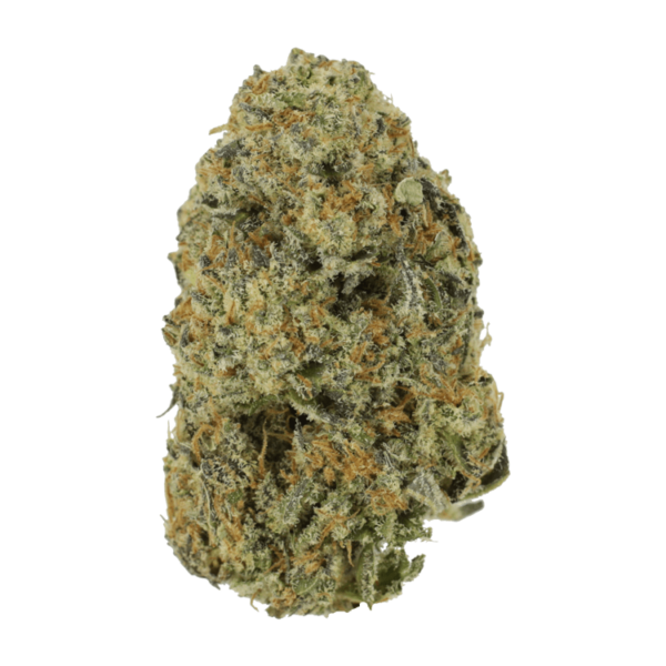 Northern Haze Express | Herb Heaven Canada