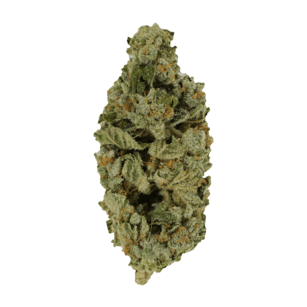 Crazy Glue | Herb Heaven Canada