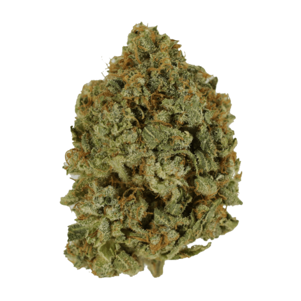 Crazy Glue | Herb Heaven Canada