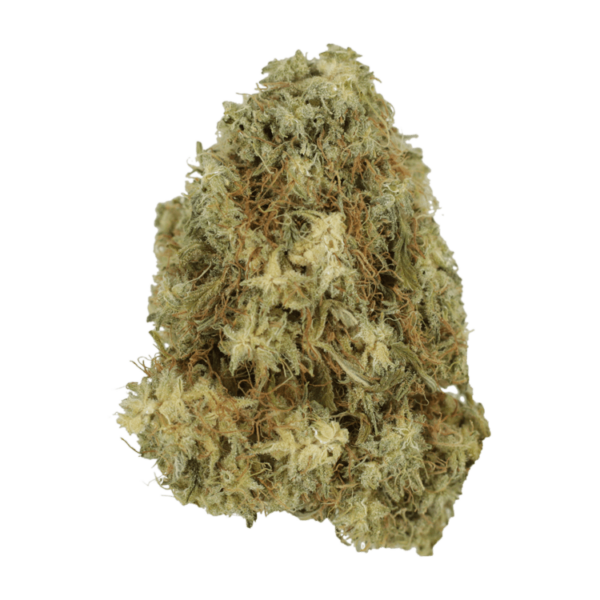 Hawaiian Snow | Herb Heaven Canada