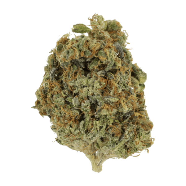 Sunset Sherbert | Herb Heaven Canada