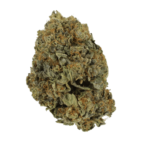 White Shark – 1 ounce | Herb Heaven Canada