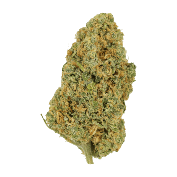 Lemon Bomb | Herb Heaven Canada