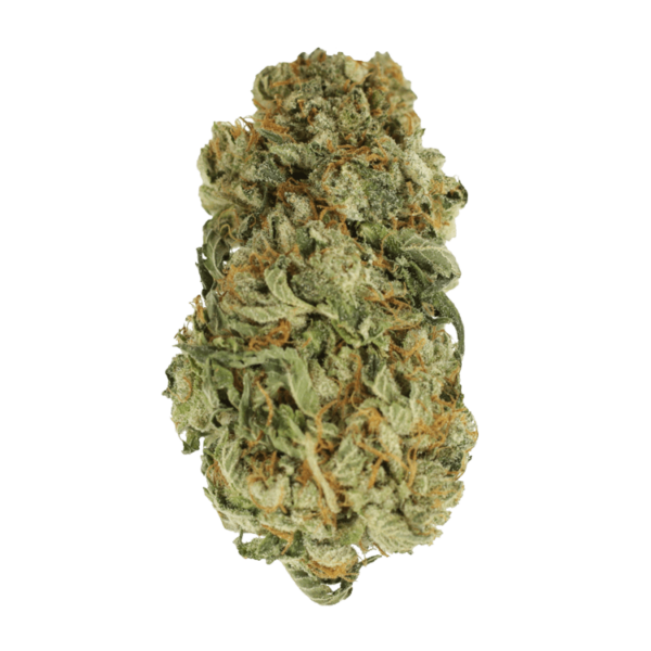 King Louis – 1 ounce | Herb Heaven Canada