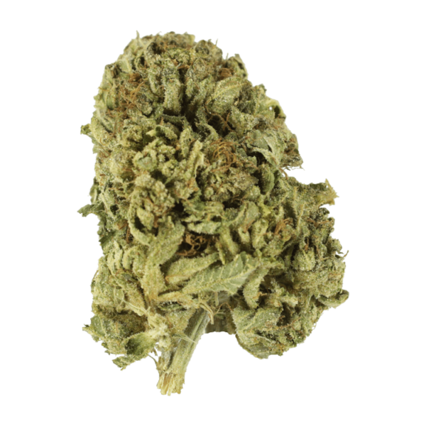 Strawberry Romulan | Herb Heaven Canada
