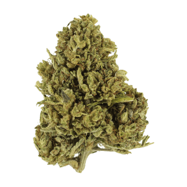 Cherry Wine (CBD) | Herb Heaven Canada