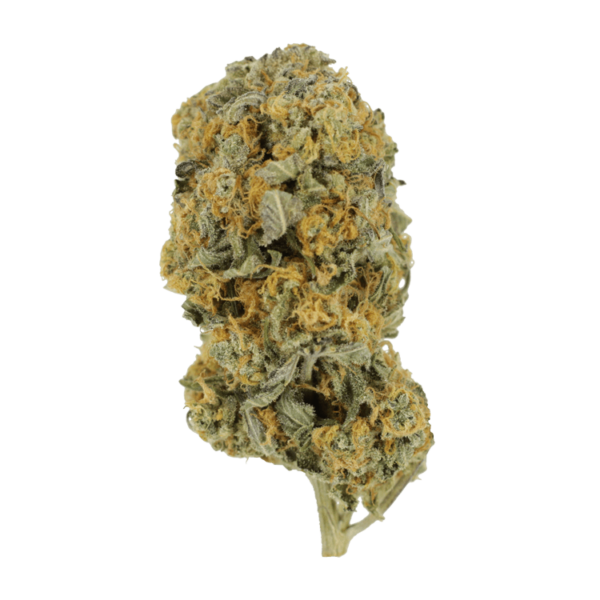 Sour Prince | Herb Heaven Canada