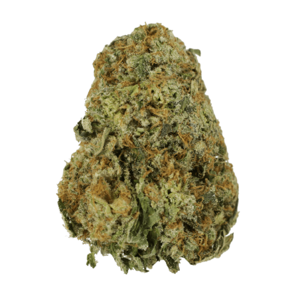 High School Sweetheart | Herb Heaven Canada