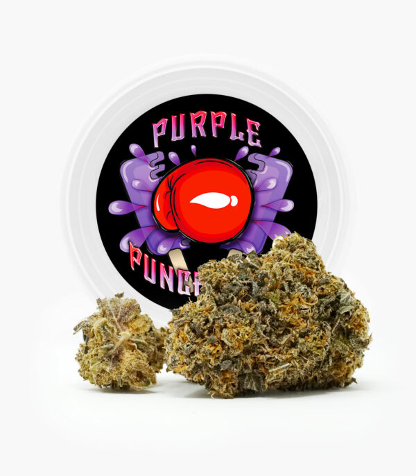 Westcoast Cali Tins – Premium Flower – Purple Punchsicle – 14g | Herb Heaven Canada