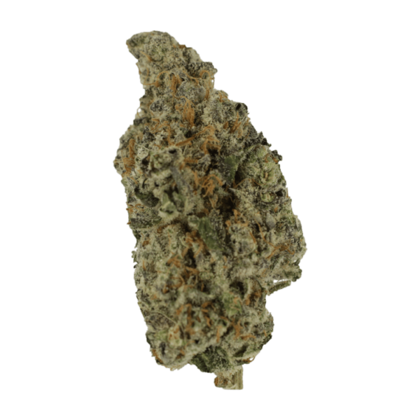Biscotti Sundae | Herb Heaven Canada