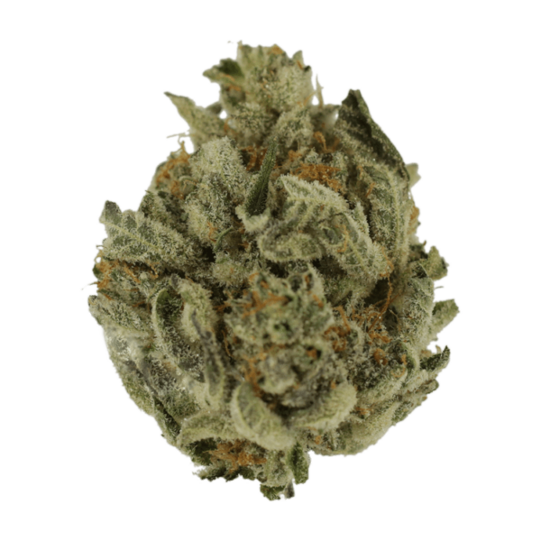 Biscotti Sundae | Herb Heaven Canada