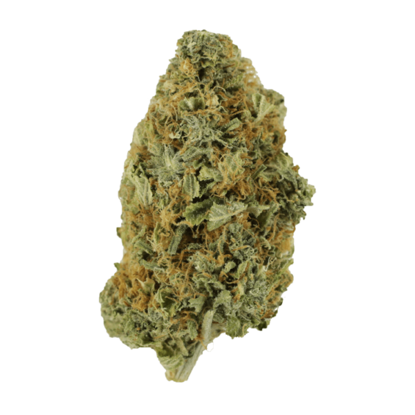 Purple Tuna – 1 ounce | Herb Heaven Canada