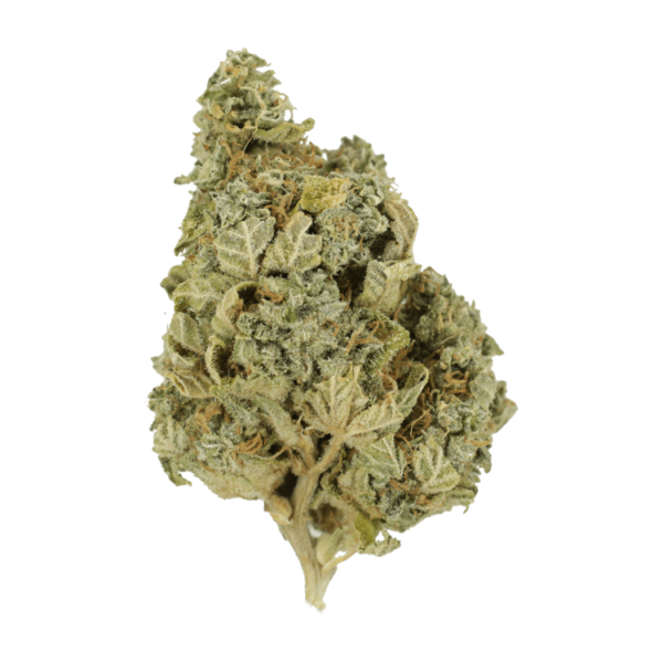 Khalifa Kush | Herb Heaven Canada