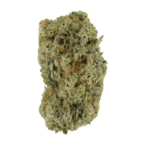 Eleven Roses | Herb Heaven Canada