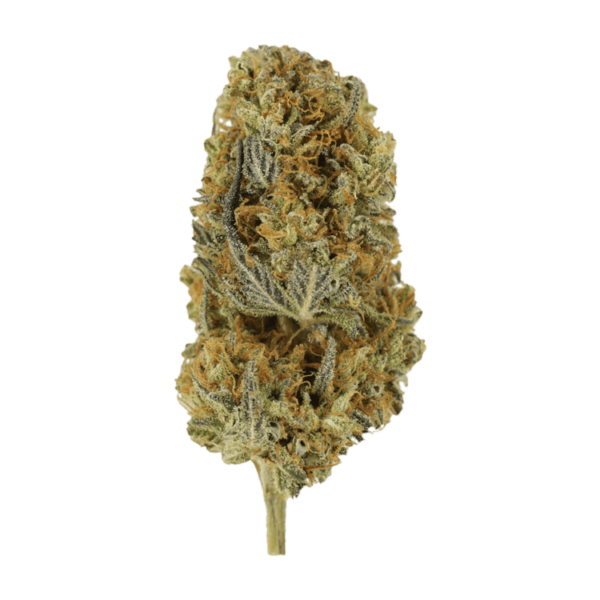 Headband | Herb Heaven Canada